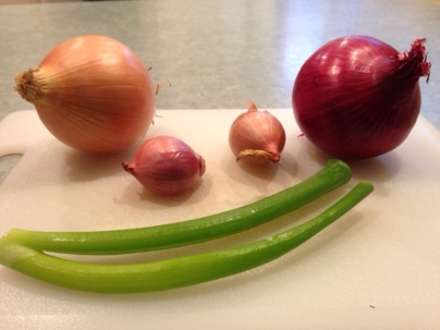 onion-types